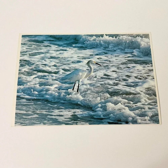 Vintage Lot of 6 Sun Coast  Post Cards Florida St Petersburg Flamingos Beach - Picture 8 of 16